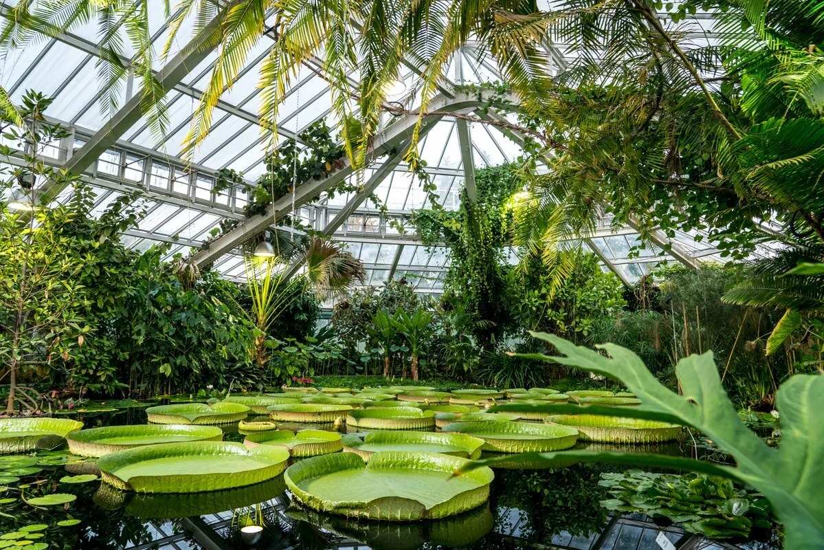 Plantentuin Meise - duurzame warmteproductie