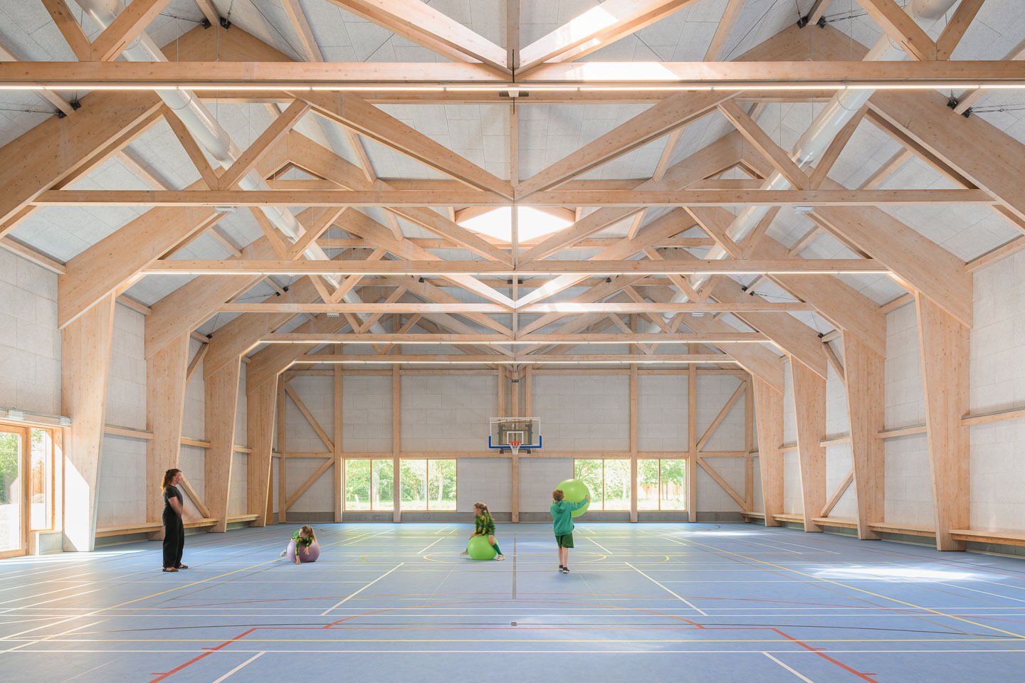 Scharphoutsite Lissewege